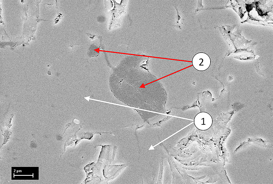 Hình 5: Cấu trúc vi mô phun nhiệt trong SEM – lỗ chân lông bịt kín trong lớp phủ cách điện: (1) vật liệu oxit, (2) lỗ chân lông bịt kín.