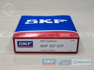 Vòng bi SKF NUP 307 ECP