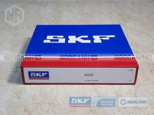 Vòng bi SKF 6030