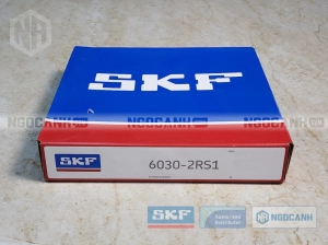 Vòng bi SKF 6030-2RS1