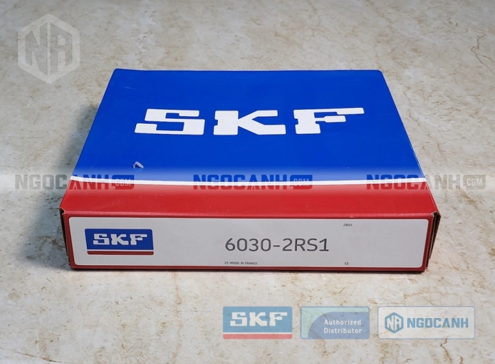 Vòng bi SKF 6030-2RS1 chính hãng