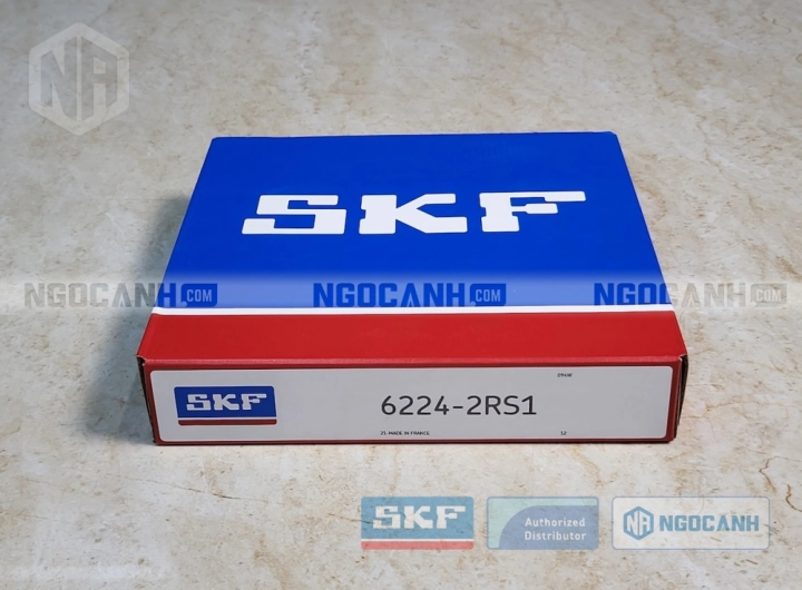 Vòng bi SKF 6224-2RS1 chính hãng