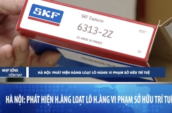 Hà Nội - Phát hiện hàng loạt lô vòng bi SKF vi phạm sở hữu trí tuệ (Fake)
