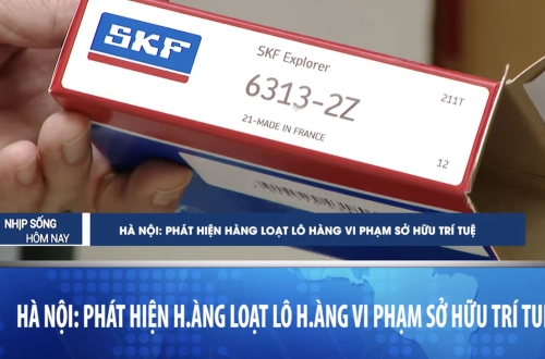 Hà Nội - Phát hiện hàng loạt lô vòng bi SKF vi phạm sở hữu trí tuệ (Fake)