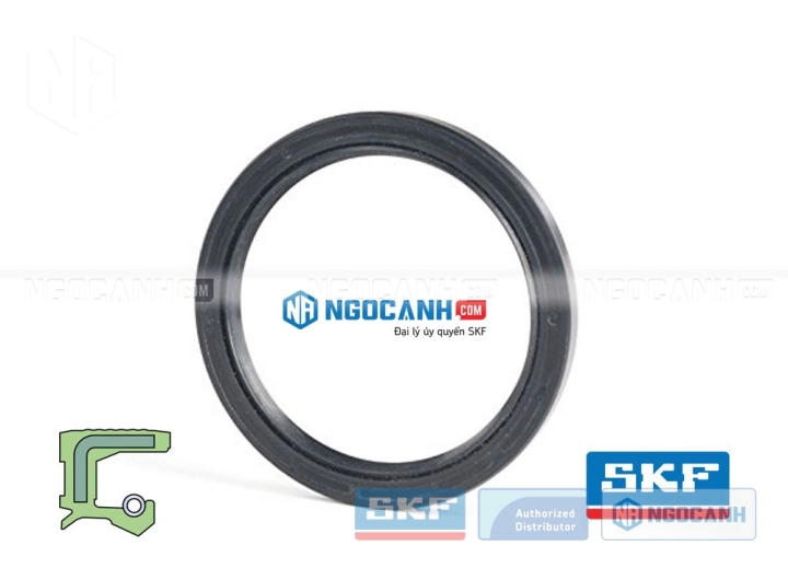 Phớt SKF 46x65x10 HMSA10 RG chính hãng