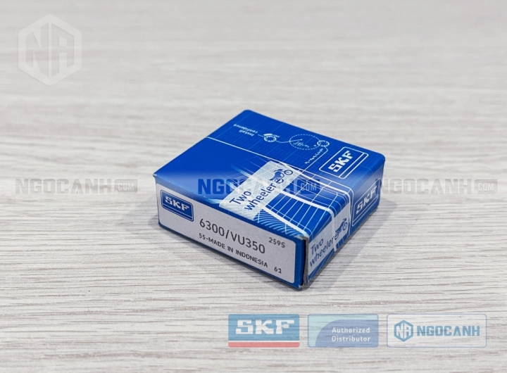 Vòng bi SKF 6300/VU350