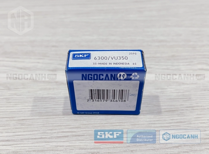 Vòng bi SKF 6300/VU350