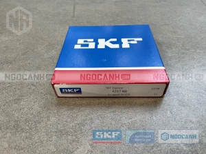 Vòng bi SKF 6217 NR