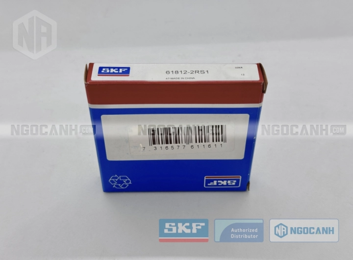 61812-2RS1
