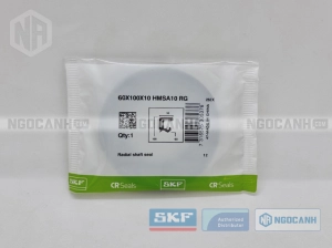 Phớt 60X100X10 HMSA10 RG