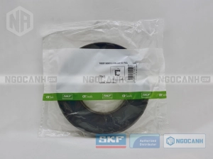 Phớt 100X190X15 HMSA10 RG