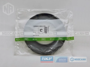 Phớt 110X200X13 HMSA10 RG