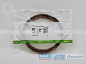 Phớt SKF 160X190X15 HMSA10 V