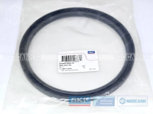 Phớt SKF 200x230x15 HMSA10 RG