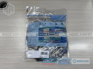 Phớt TSN 528 C