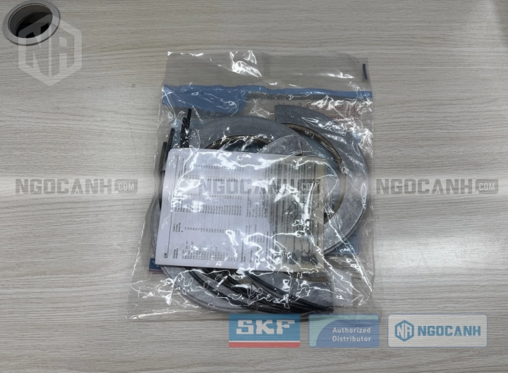 Phớt TSN 528 C chính hãng SKF