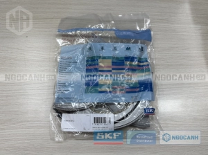 Phớt TSN 530 C