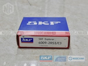 Vòng bi SKF 6009-2RS1/C3