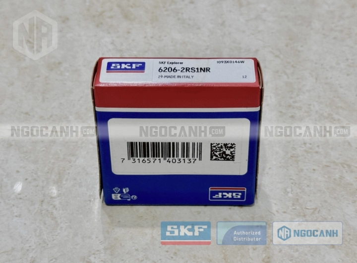 Vòng bi SKF 6206-2RS1NR chính hãng