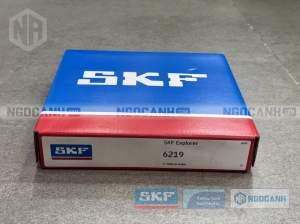 Vòng bi SKF 6219