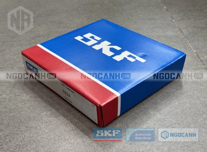 Vòng bi SKF 6219 chính hãng