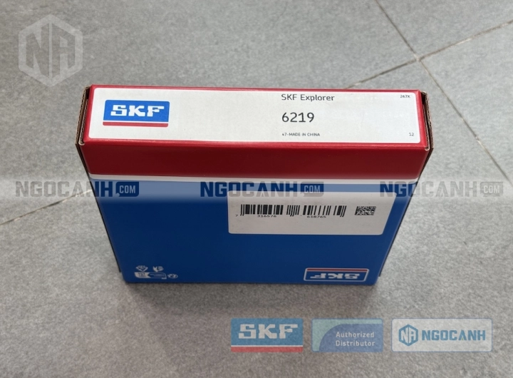 Vòng bi SKF 6219 chính hãng