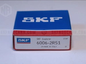 Vòng bi SKF 6006-2RS1
