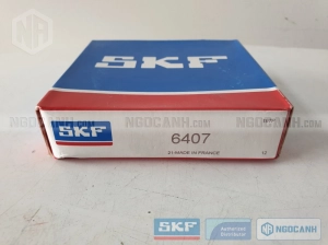 Vòng bi SKF 6407
