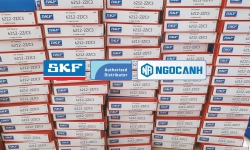 Những mã vòng bi cầu seri 6000 SKF thông dụng tại thị trường Việt Nam