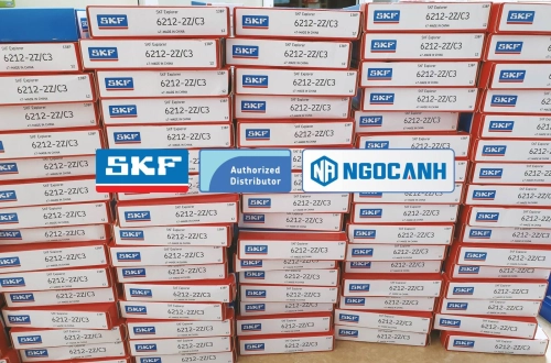 Những mã vòng bi cầu seri 6000 SKF thông dụng tại thị trường Việt Nam
