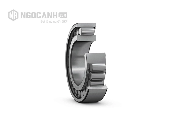 Vòng bi SKF C 6006 V chính hãng phân phối bởi SKF Ngọc Anh - Đại lý ủy quyền SKF