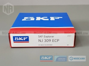 Vòng bi SKF NJ 309 ECP