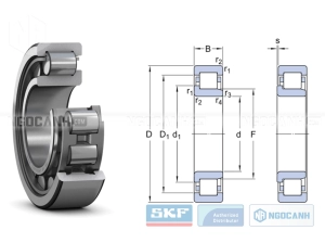Vòng bi SKF NJ 322 ECJ